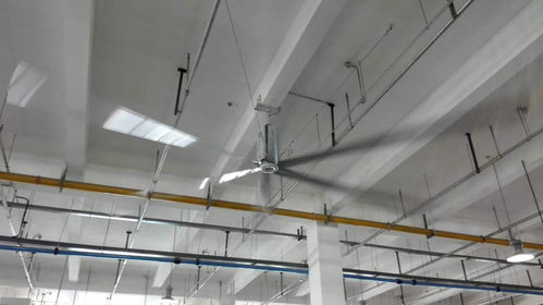 食品廠降溫通風(fēng)首選 瑞泰風(fēng)工業(yè)大風(fēng)扇